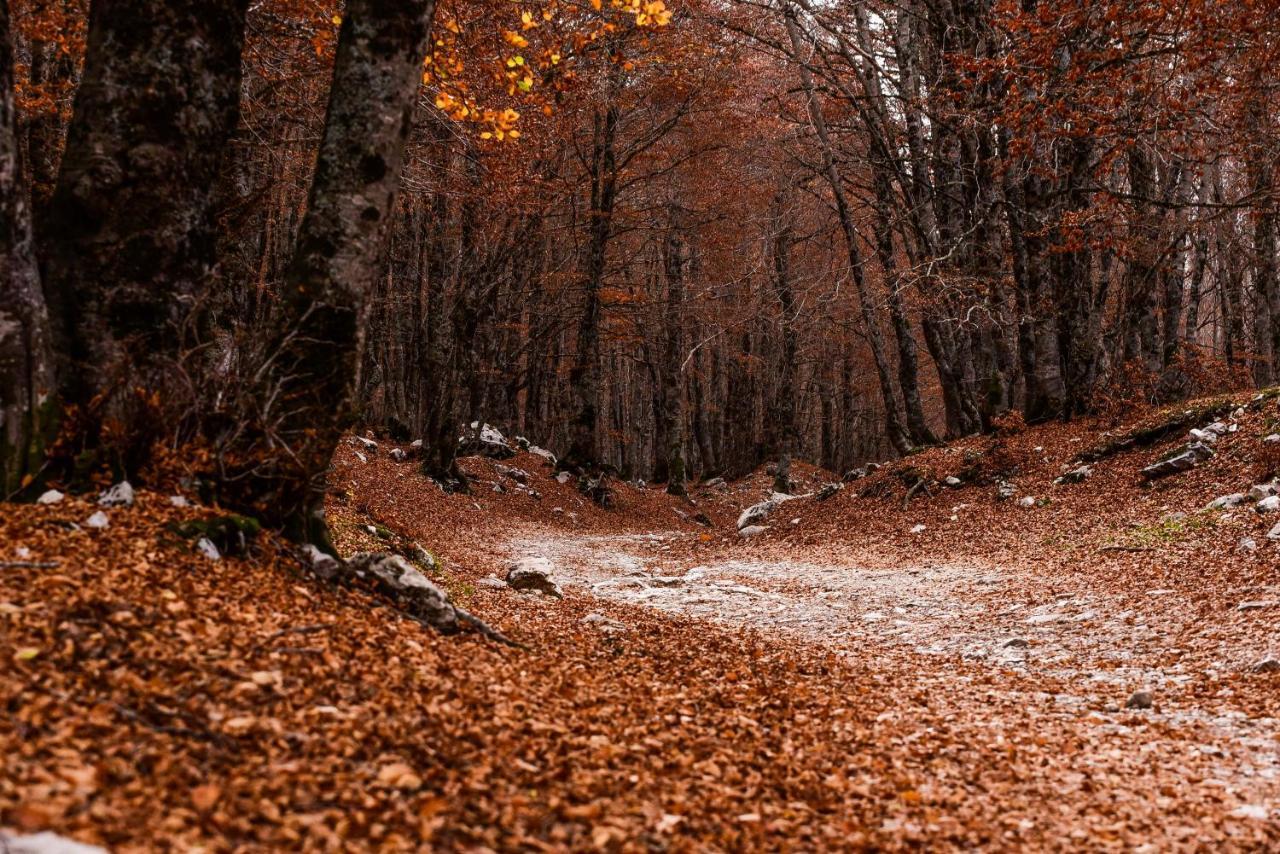 Appartamento A Campo Felice - Treeffe Collimento Exterior foto